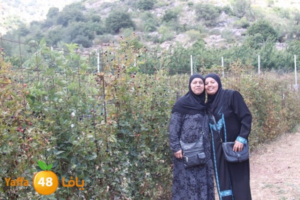 bayareq re7la shamal 0612 (53).JPG